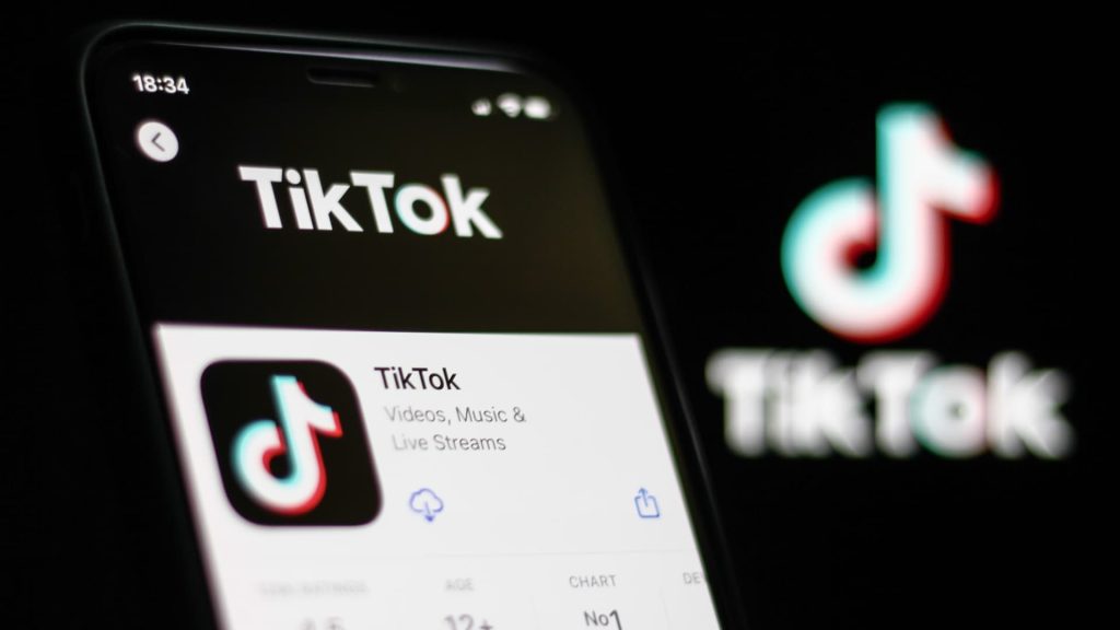 buy tiktok followers malaysia