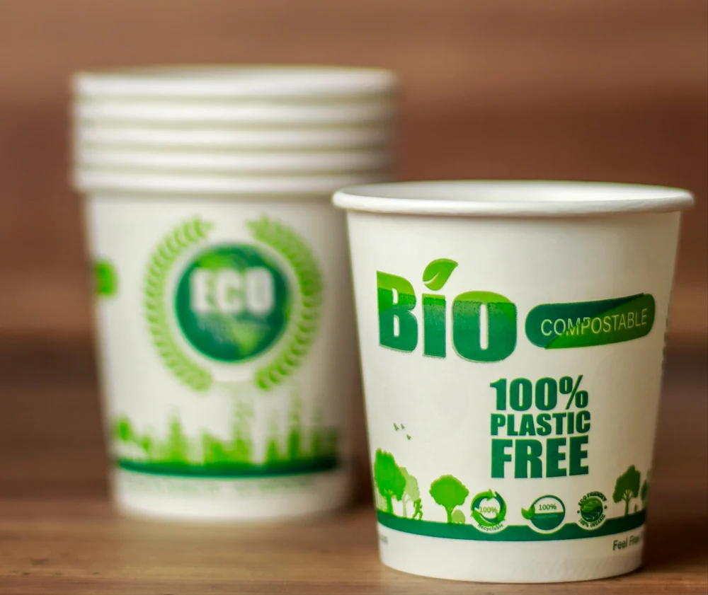 Online Biodegradable Takeout Containers and Eco-Friendly Paper Cups
