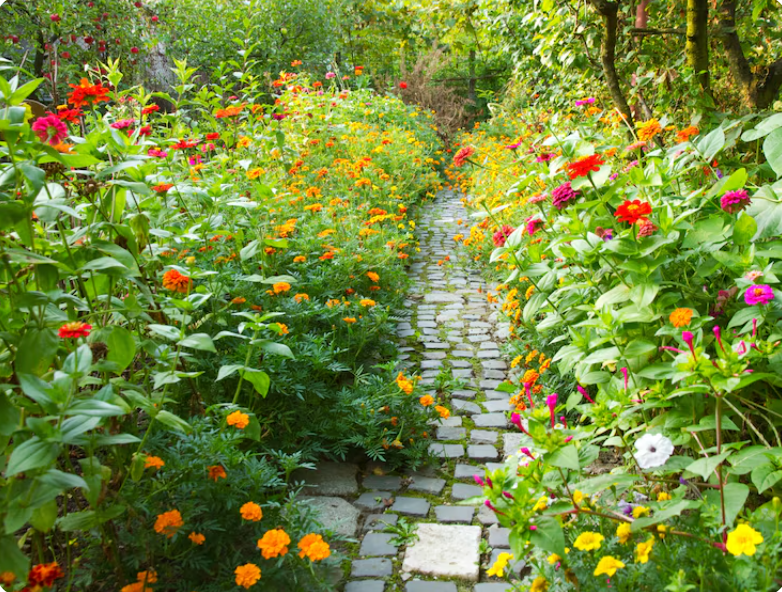 Easy Ways to Make Your Garden Feel Fresh